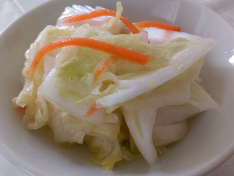 白菜の減塩浅漬け